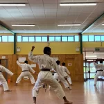 martial arts in auckland
