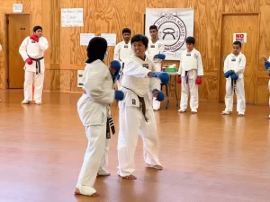 Martial Arts for Kids Near Me