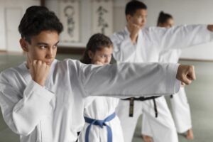 auckland martial arts clubs​