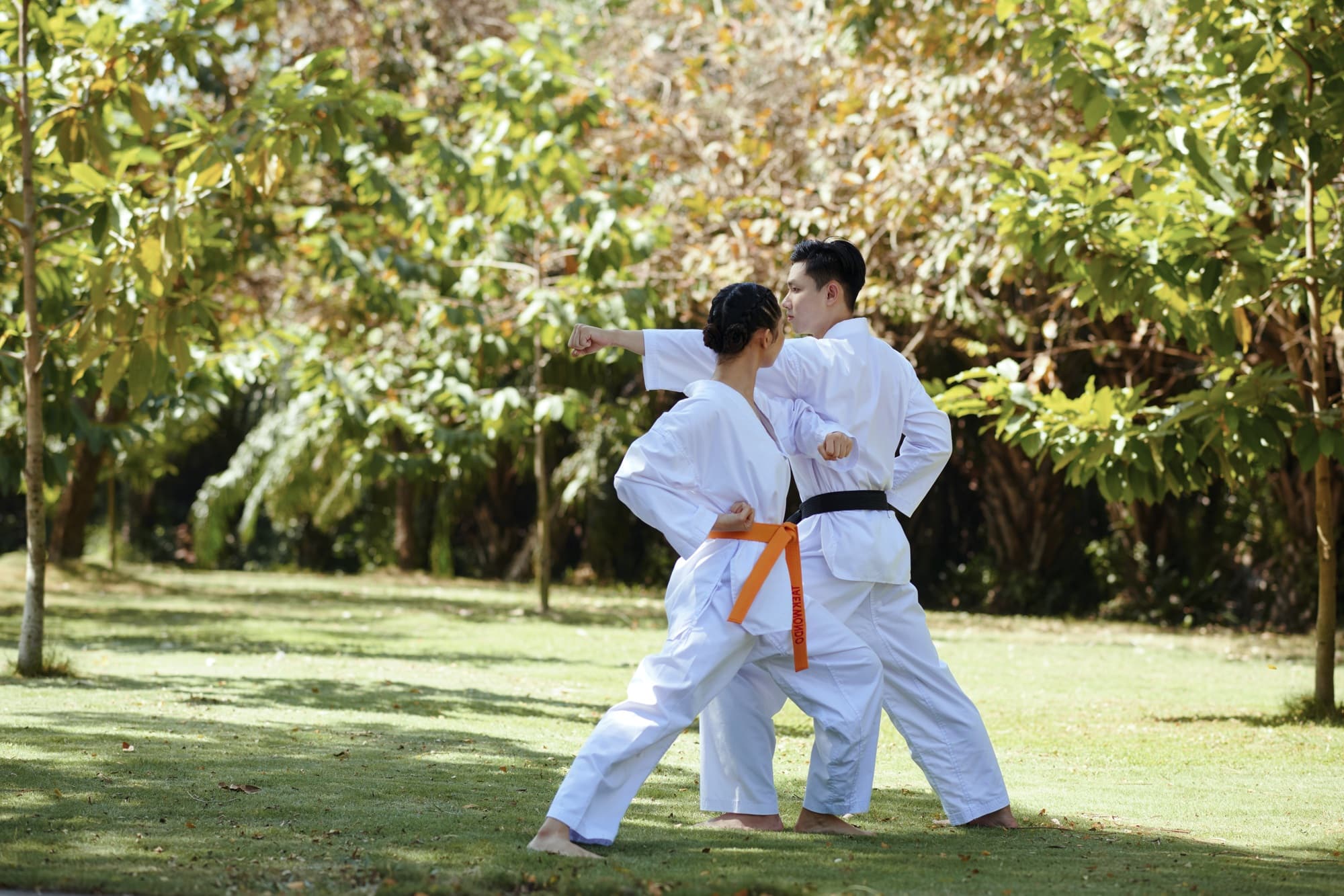 Adult Karate Classes